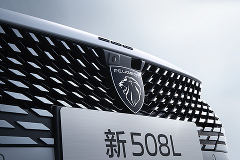 新508L-局部前格栅_RGB.jpg