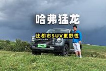 比都市SUV更野性，哈弗猛龙