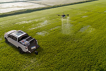 雷达推出RD6科创版，深耕皮卡细分市场需求