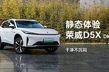 干凈不沉悶 靜態(tài)體驗(yàn)榮威 D5X DMH