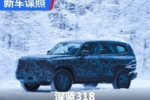 或售30万起/硬派新选择 曝深蓝318谍照