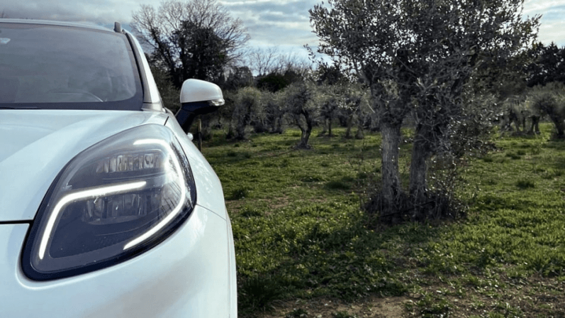 福特探索利用橄榄树来制造汽车部件