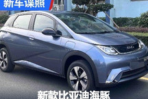 将于2月份内上市 新款比亚迪海豚申报图