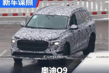 有望2025年发布 奥迪大型SUV Q9谍照