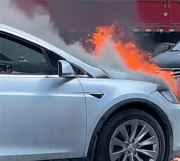 百萬特斯拉停路邊自燃起火 車主現(xiàn)場崩潰嚎啕