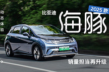 銷量擔(dān)當(dāng)再升級 動態(tài)體驗比亞迪 2025 款海豚