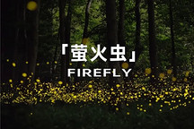 蔚來第三品牌螢火蟲12月21日首發！可共享蔚來服務和換電體系
