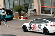 9.9萬買的二手特斯拉無法充電 車主用牛拉車上路維權