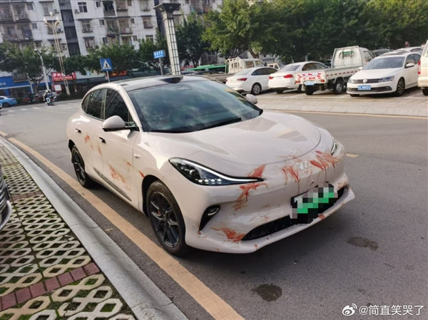 男子喜提智己LS6被丈母娘請人用雞血開光：形似慘烈事故現場