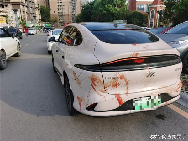 男子喜提智己LS6被丈母娘請人用雞血開光：形似慘烈事故現場