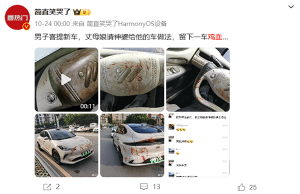 男子喜提智己LS6被丈母娘請人用雞血開光：形似慘烈事故現場