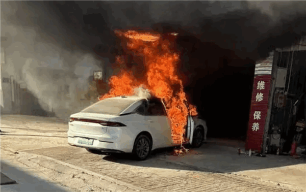 廣汽埃安路邊停車自燃燒報廢 車主：才買了幾個月 是車的問題