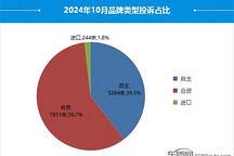 2024年10月國內汽車投訴排行及分析報告