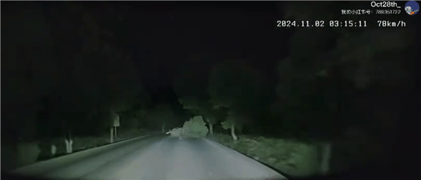 智己夜間自動緊急變道躲開大樹 車主：智能駕駛關鍵時刻真能救命