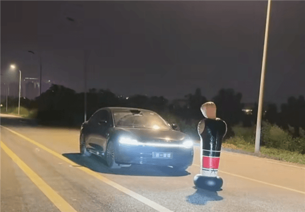 六款車型AEB躲避假人實(shí)測：國產(chǎn)車全部過關(guān) 僅特斯拉翻車