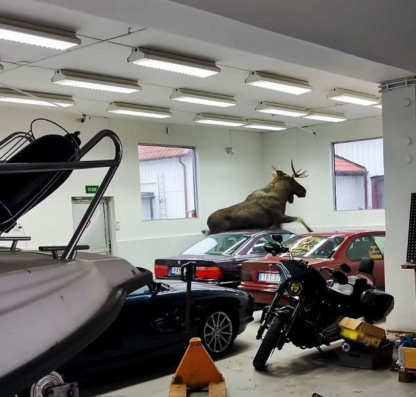寶馬iX3實車曝光