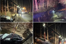 為躲鹿不慎沖出車道墜河：特斯拉Model X護兩人安全