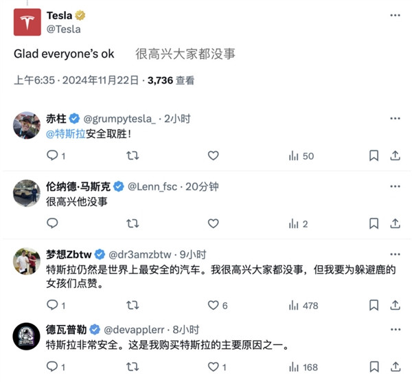 為躲鹿不慎沖出車道墜河：特斯拉Model X護兩人安全