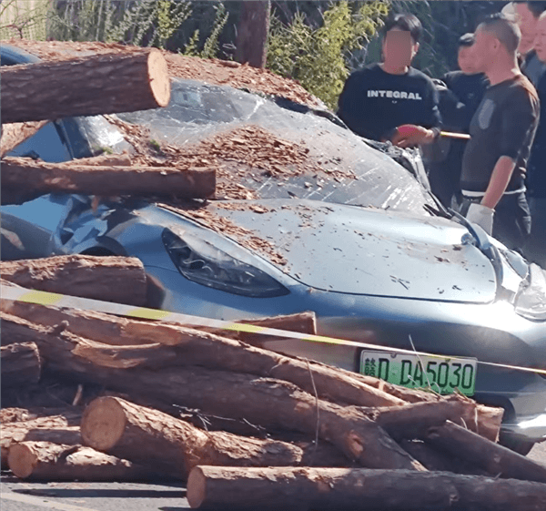 特斯拉被貨車壓頂車主無傷！陶琳：買車就選特斯拉 只講硬道理