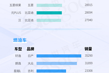 比亞迪霸榜新能源，燃油車銷冠日產軒逸地位穩固 | 國內乘用車車型銷量排行榜