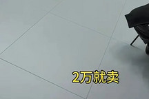 真的假的，2萬塊買極越？