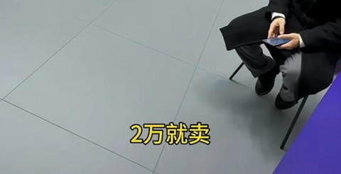 真的假的,2万块买极越?