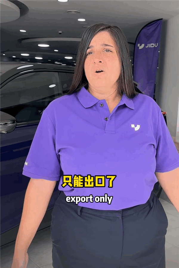 極越閃崩后坑慘迪拜員工：我們還有500臺(tái)庫(kù)存車未賣