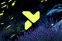 蔚來公布第三品牌firefly螢火蟲品牌標識，并將在12月21日發布