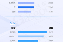 比亞迪全系列占據(jù)“半壁江山”，Model Y 地位穩(wěn)固 | 國(guó)內(nèi)乘用車車型銷量排行榜