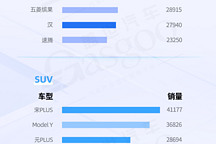 比亞迪全系列占據“半壁江山”，Model Y 地位穩(wěn)固 | 國內乘用車車型銷量排行榜