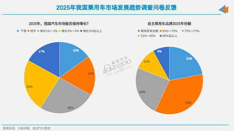 车市2025年十大预测