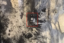 极氪发布绍兴停车场车辆过火事件说明