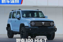2.0T插混系统 坦克300 Hi4-T申报图曝光