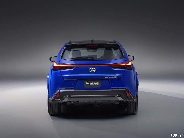 雷克薩斯 雷克薩斯UX 2025款 300h F SPORT Handling 美國版