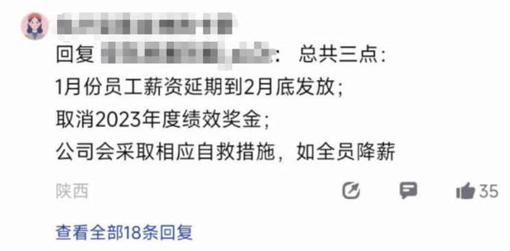 工资缓发/高管主动降薪 高合回应：属实