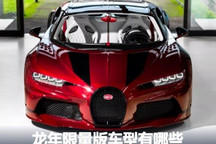 车企如何迎新年 龙年限量版车型盘点
