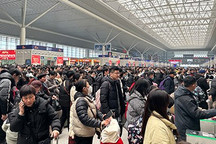 返程高峰 12306：车库里的车都开出去了