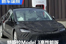 新样式座椅 特斯拉Model 3高性能版谍照