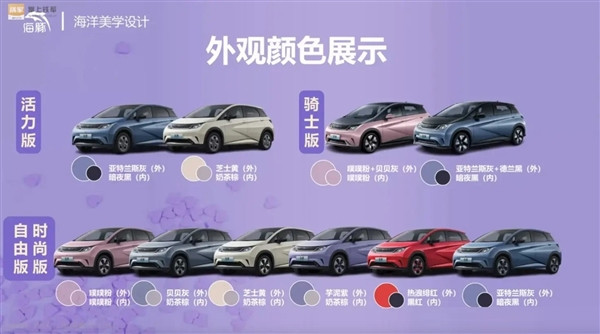 新增302公里續航版 比亞迪海豚榮耀版官圖發布：升級獨立懸架