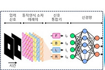 受昆虫视觉启发 KAIST开发出高速、低功耗智能传感器半导体