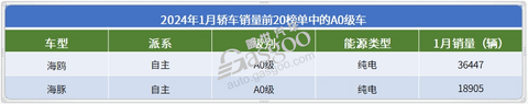 2024年1月轿车销量前20:又有“黑马”冲榜成功,油车开始反扑?