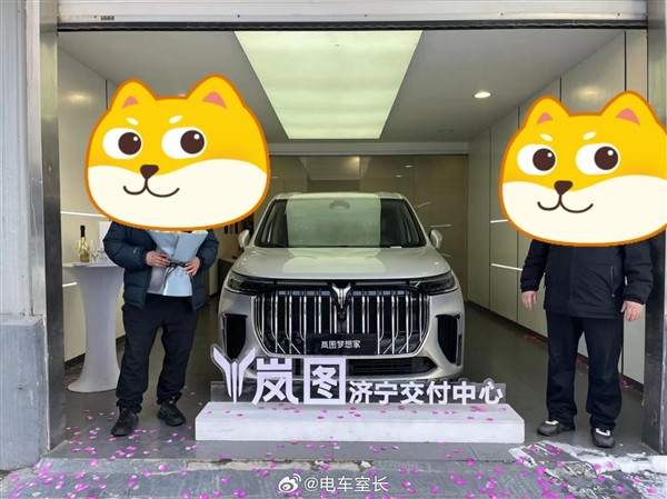 嵐圖夢想家翻滾下30多米山坡 車主無傷后又提了一輛嵐圖