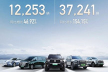 长城汽车2月新能源乘用车销量12253辆!