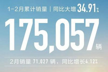 长城2024年1-2月累计销量为175057辆
