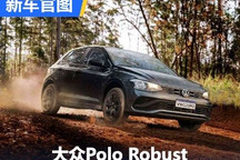 为农场而生 大众Polo Robust官图发布