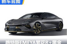 售118万 路特斯EMEYA繁花R+黑金版官图