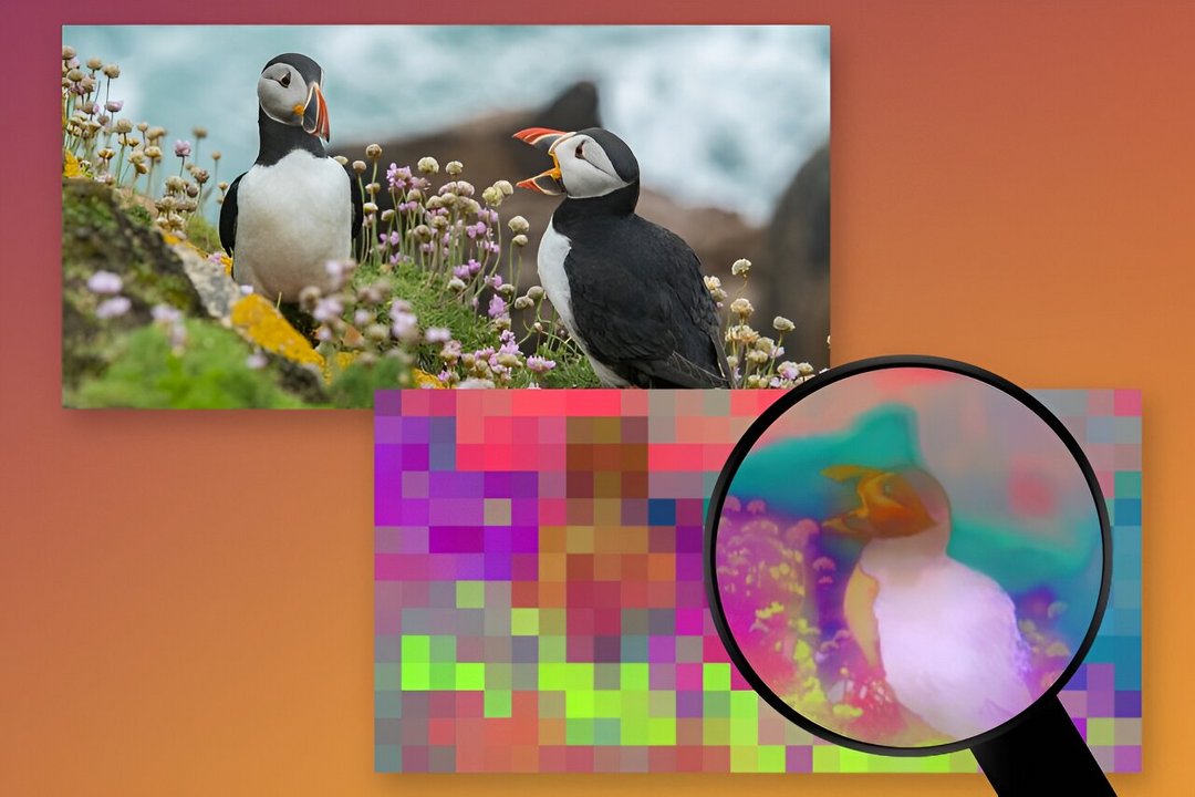 麻省理工学创建“FeatUp”系统 可以让算法同时捕获场景内所有高级和低级细节
