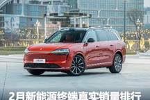 图观车市|2月新能源终端真实销量排行榜