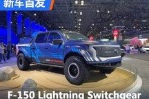2024纽约车展:福特F-150概念车首发