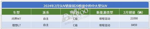 2024年2月SUV销量TOP20:ModelY夺冠,问界M7月销再破2万辆